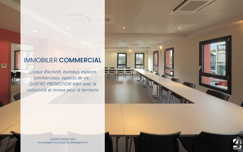 Immobilier commercial